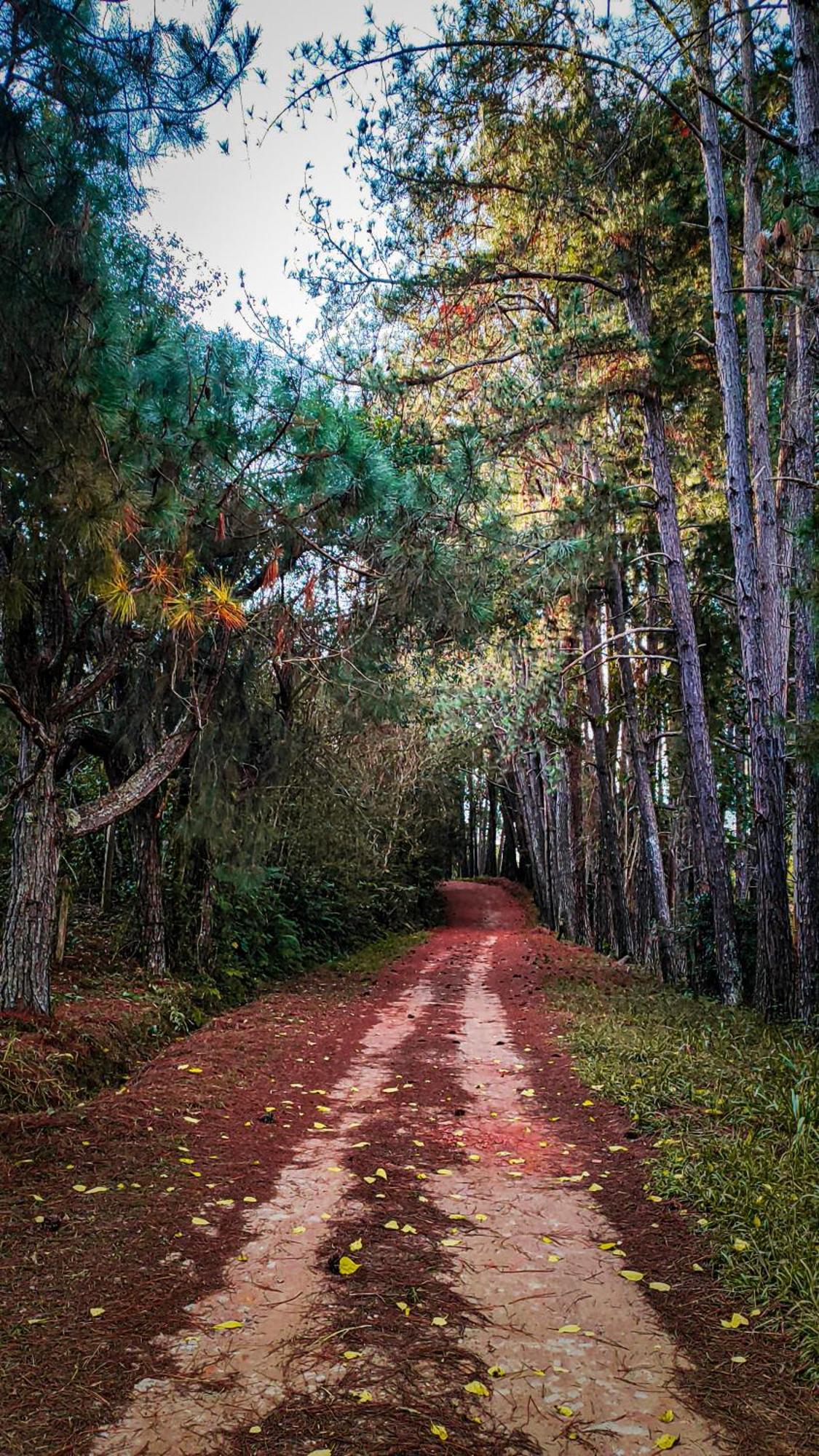 Pousada Colar De Ouro Кунья Экстерьер фото